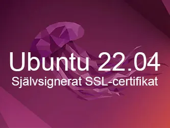 Självsignerat SSL-certifikat för Apache